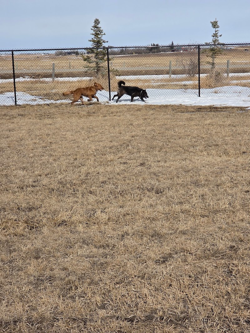 Paw Country Dog Parks dog park