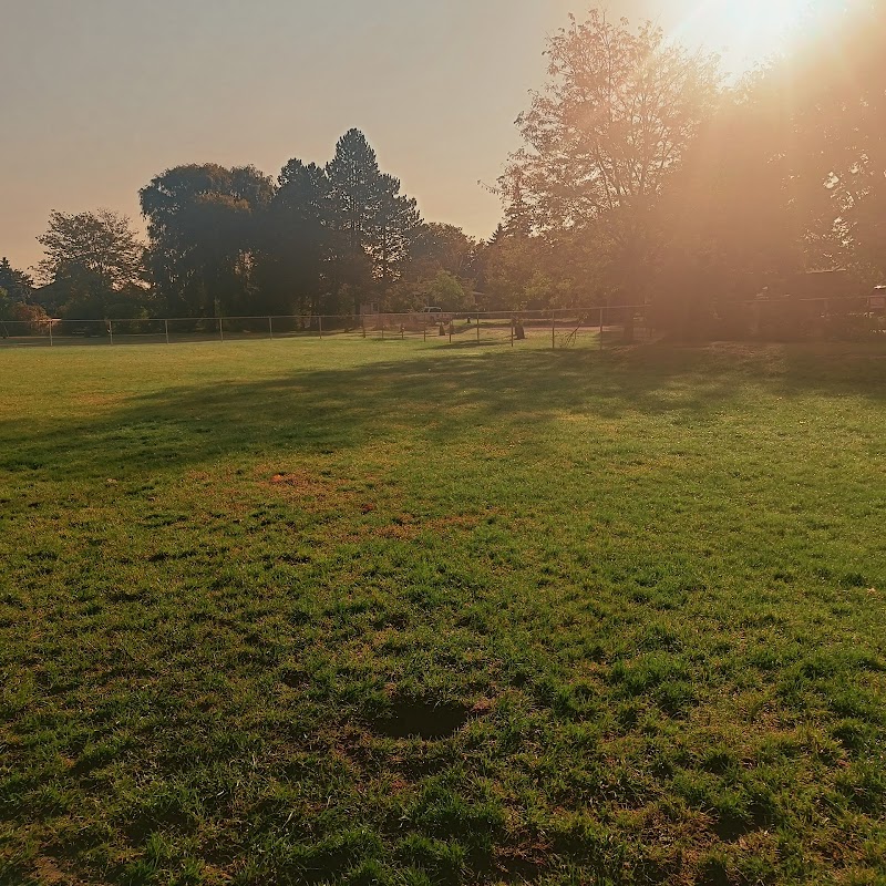 Alliston Off-Leash Dog Park dog park