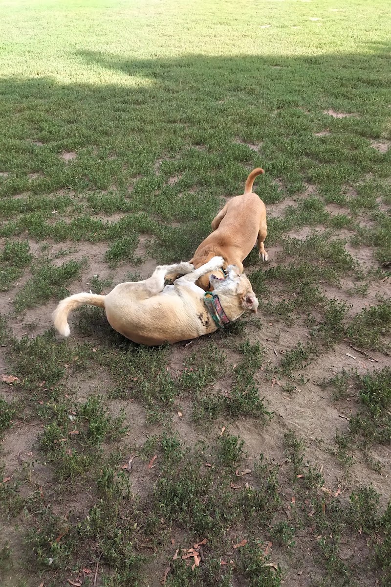 McNabb Dog Park dog park