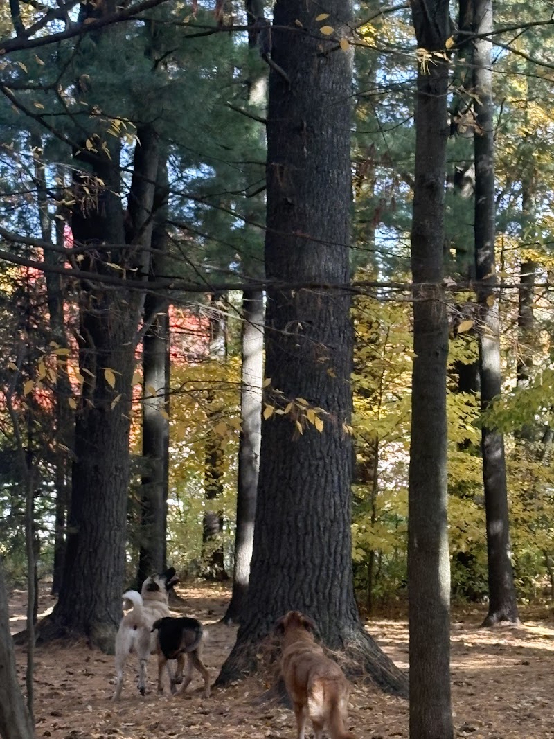 Glen Eton Dog Park dog park