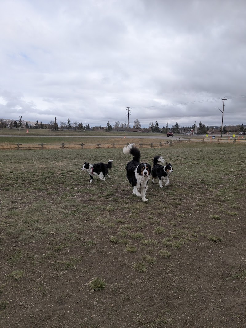 Cochrane Dog Park dog park