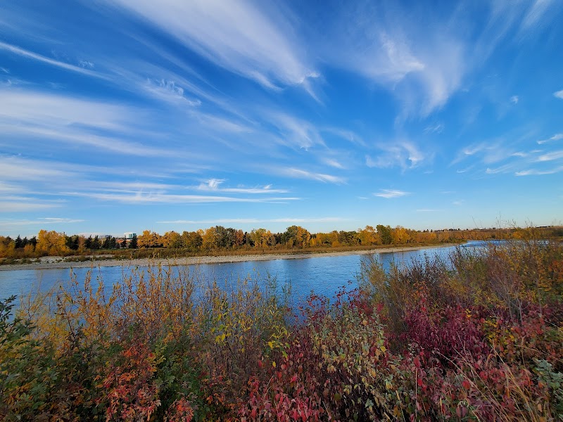Albert Park Radisson Heights Off Leash Area dog park