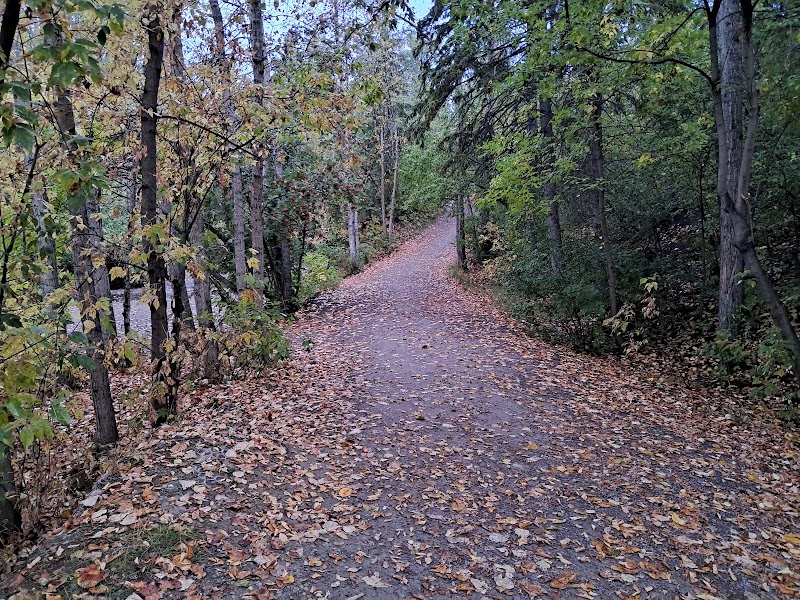 Mill Creek South dog park