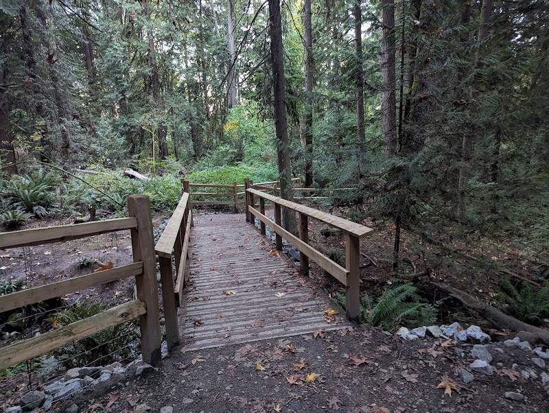 Robert Burnaby Park Dog Off-Leash area dog park