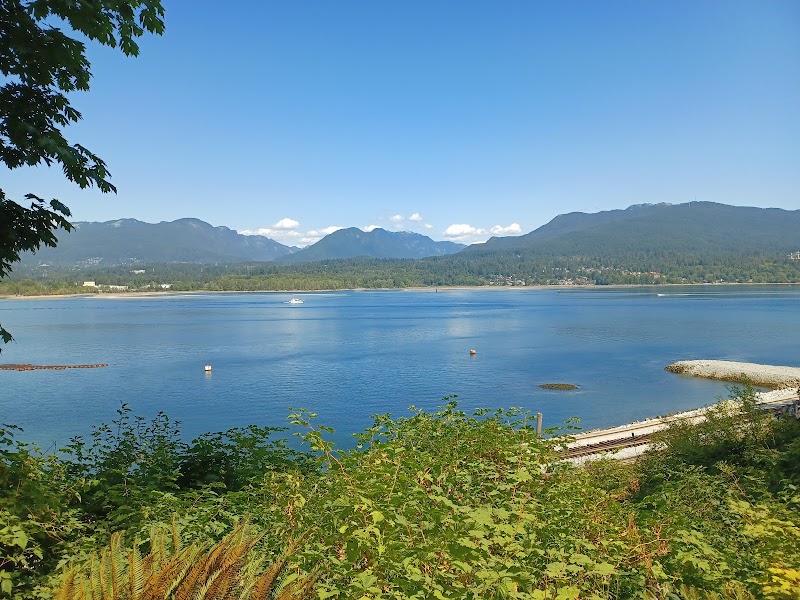 Confederation Park Dog Off-Leash Enclosure dog park