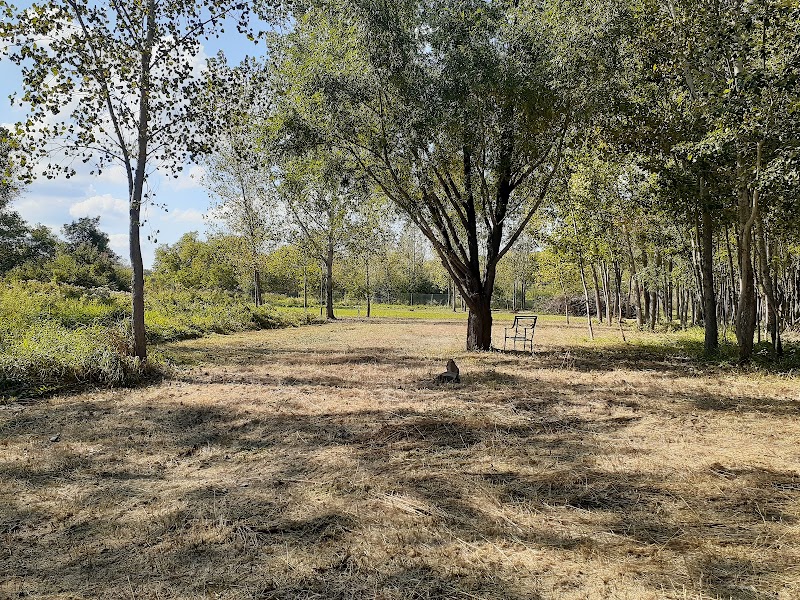 Parc canin St-René dog park