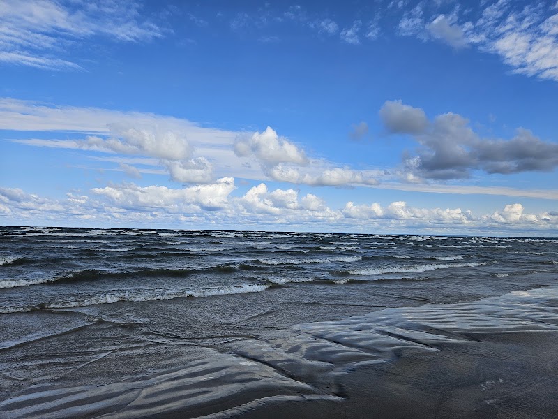 Wasaga Beach Dog Beach dog park