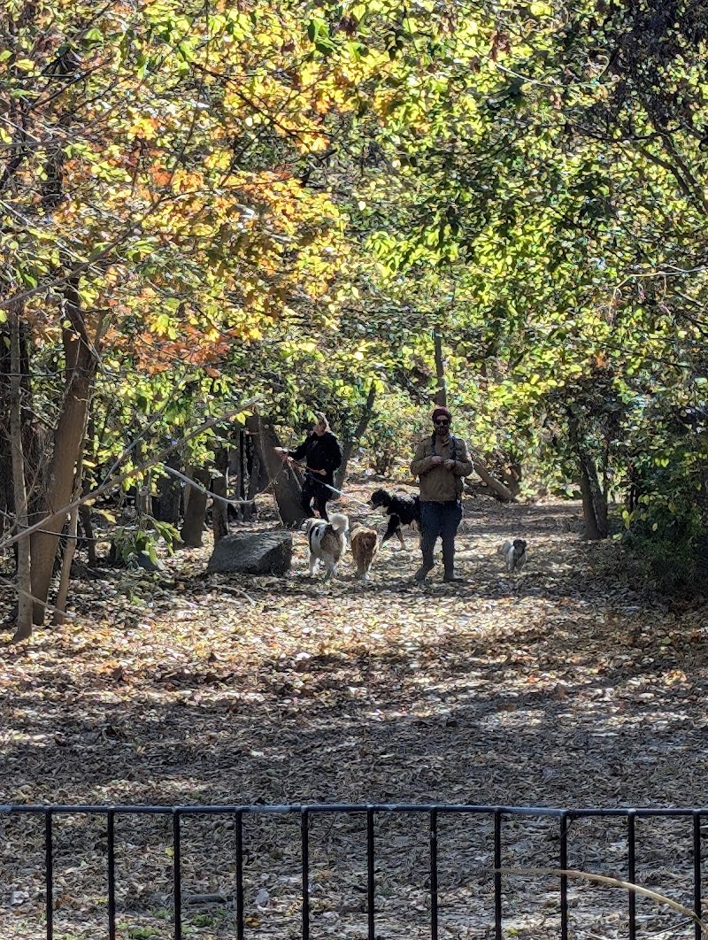 Don Valley Brick Works Dog Park dog park