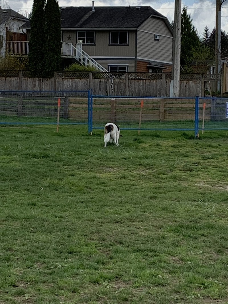 Port Kells Substation Off-Leash Dog Park dog park