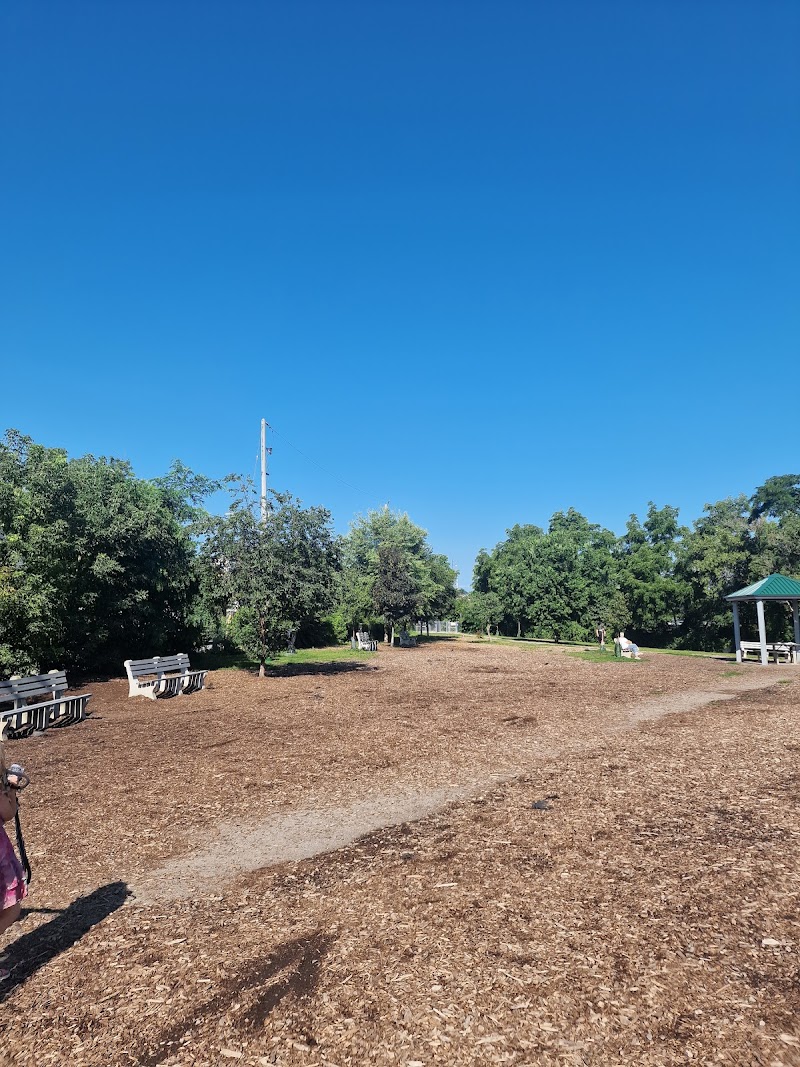 Hill Street Park dog park