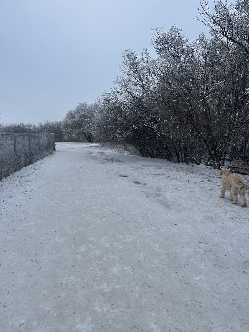 Avalon Dog Park dog park