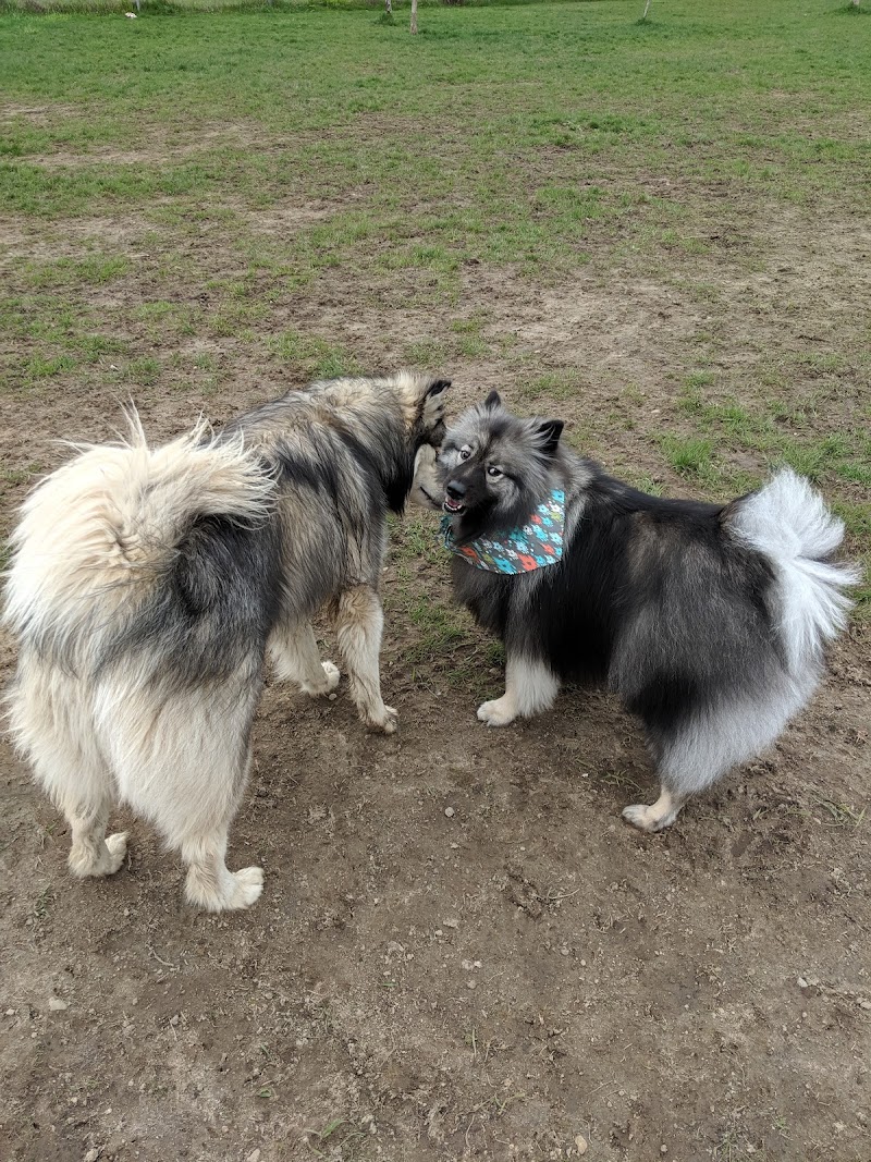 Maple Grove Dog Park dog park