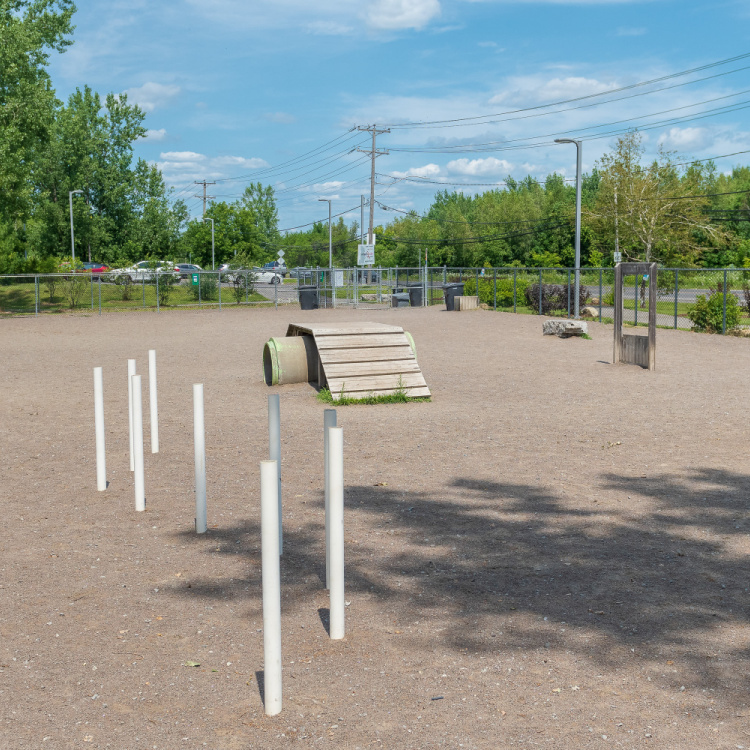 Dog Park of Côte-Saint-Louis Park dog park