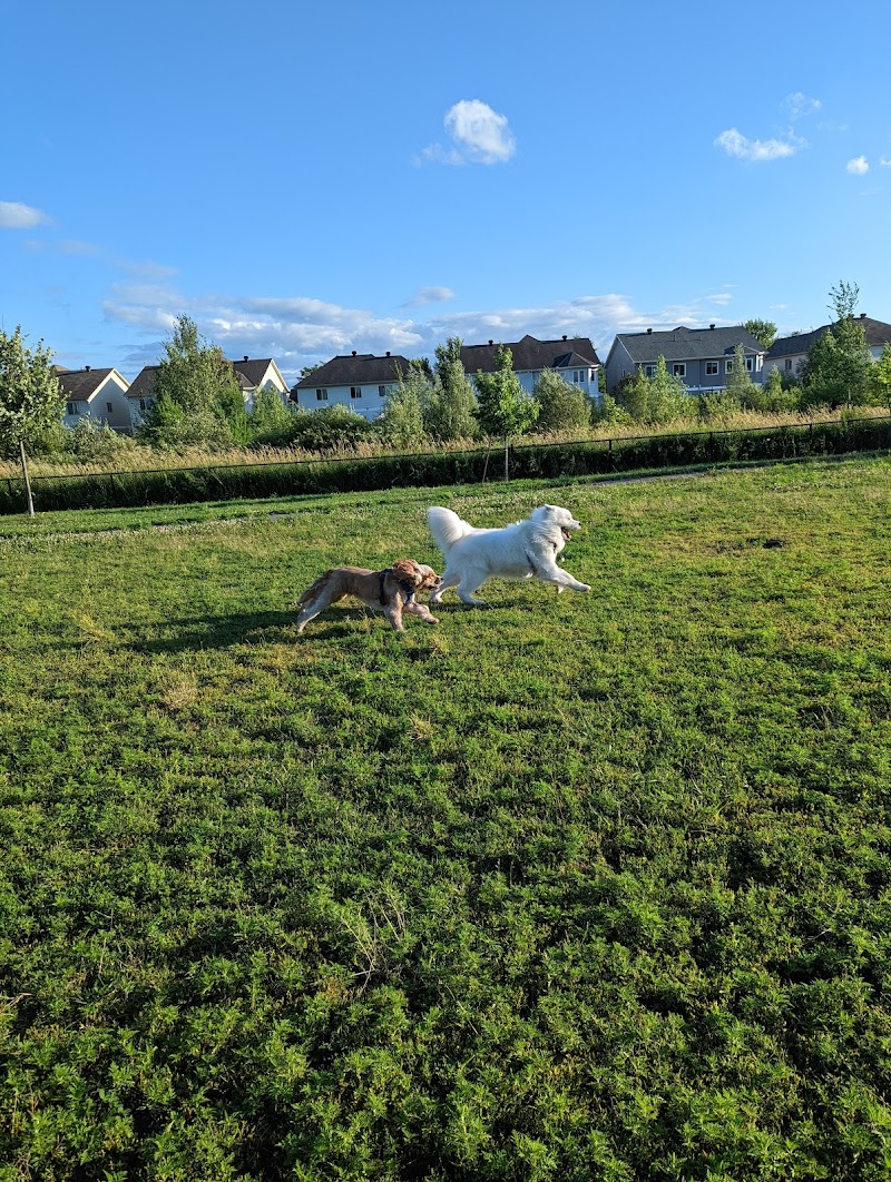 Coyote Trail Dog Park dog park