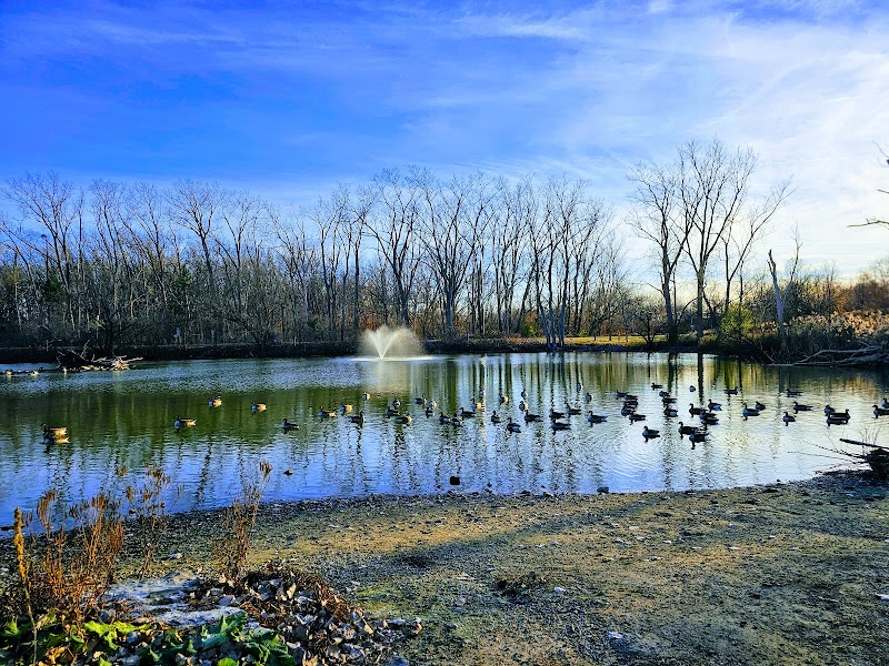 Malden Dog Park dog park