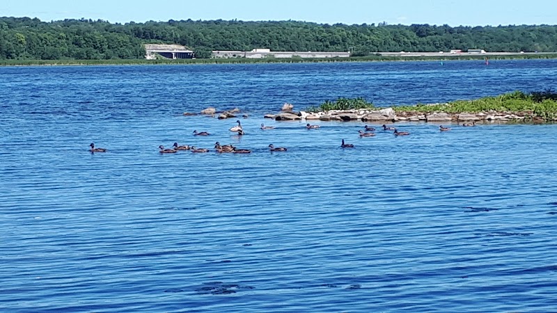 Gore Road Dog Park dog park