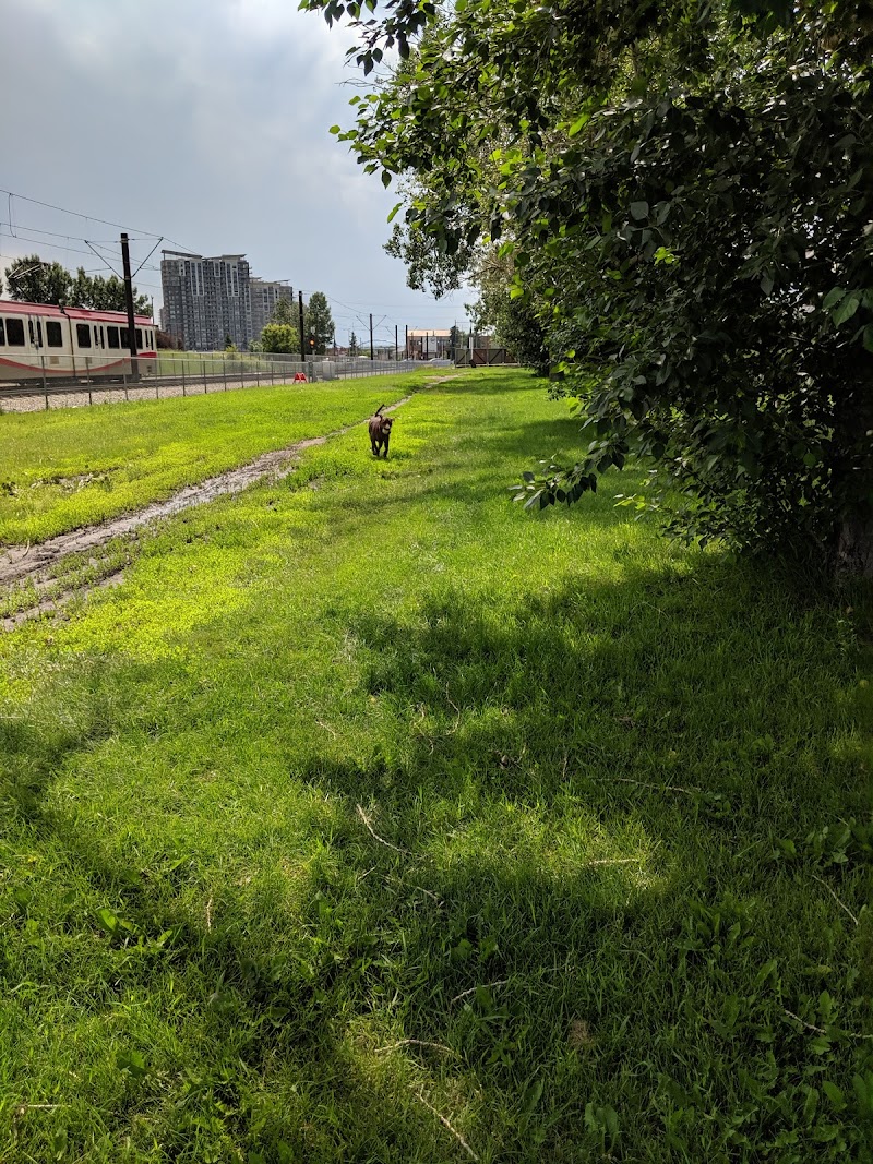 Kingsland Off Leash Area dog park
