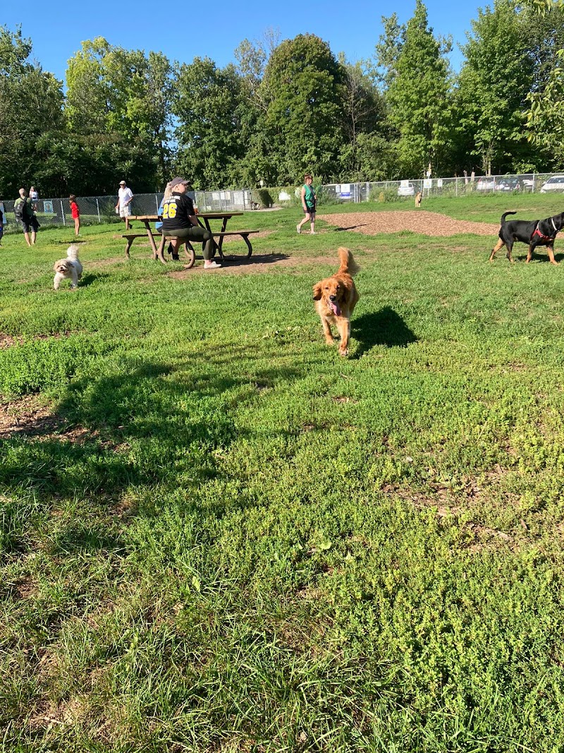 Beaconsfield Dog Run dog park