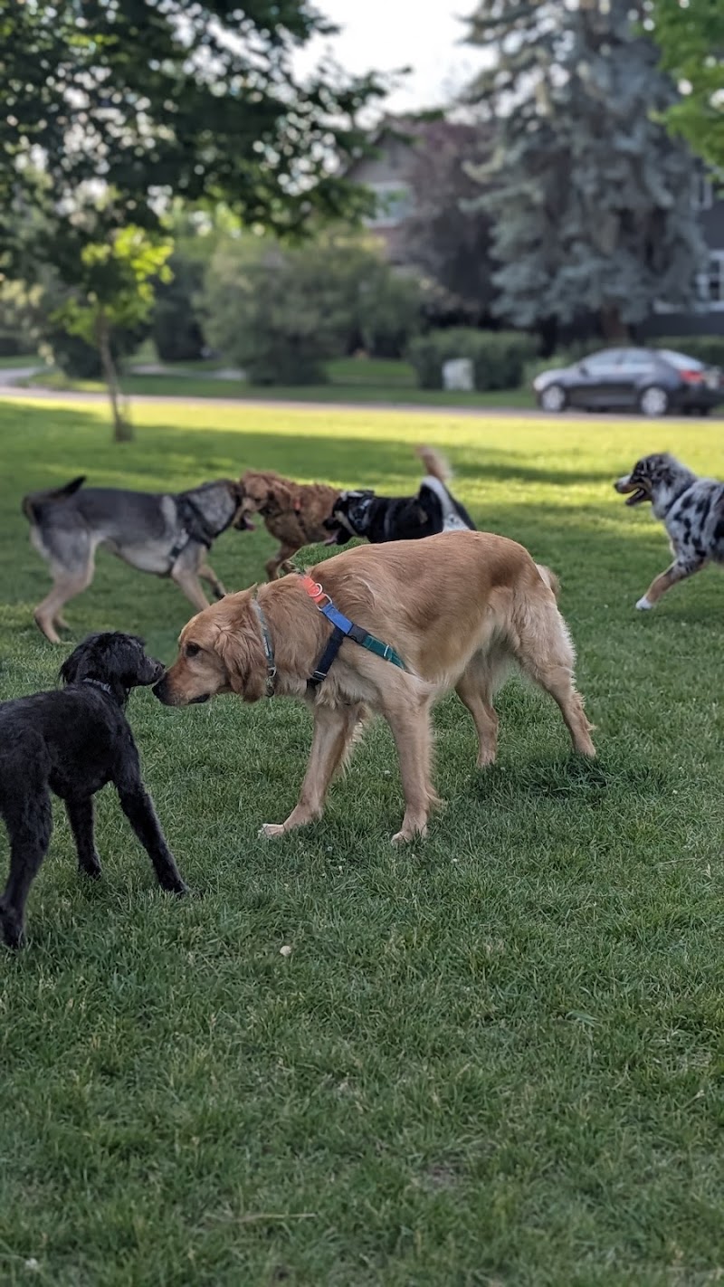 Scarboro Off Leash Dog Park/Triangle Park dog park