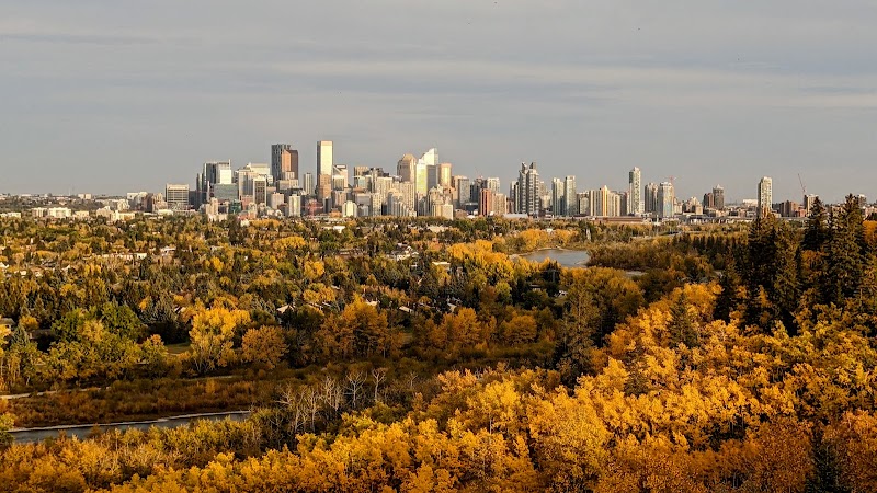 Edworthy Off Leash Dog Park dog park