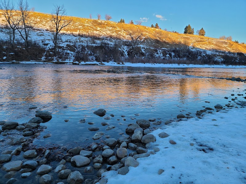 Riverdale Off Leash Dog Park dog park