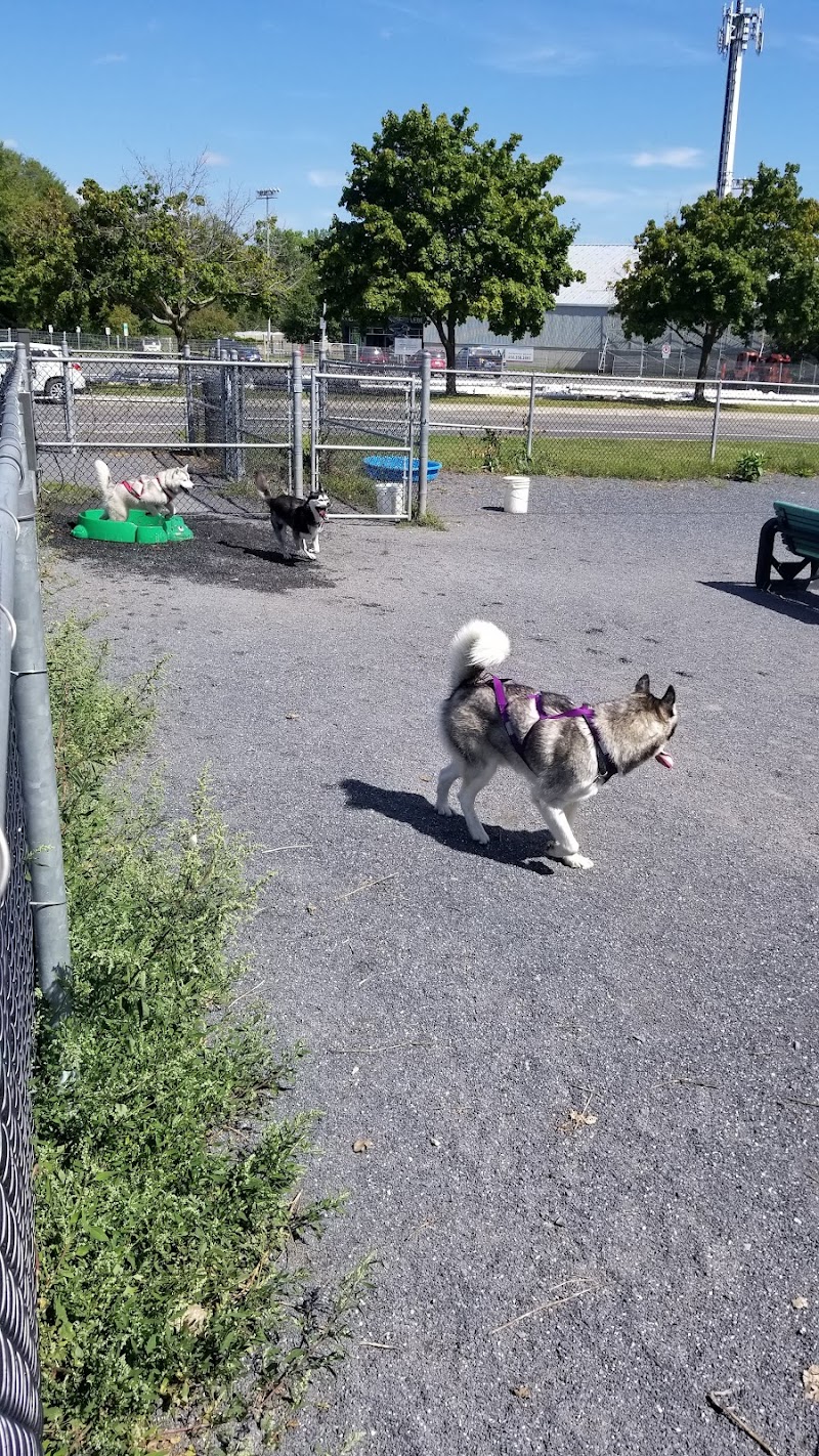 Parc à chien de Chambly dog park