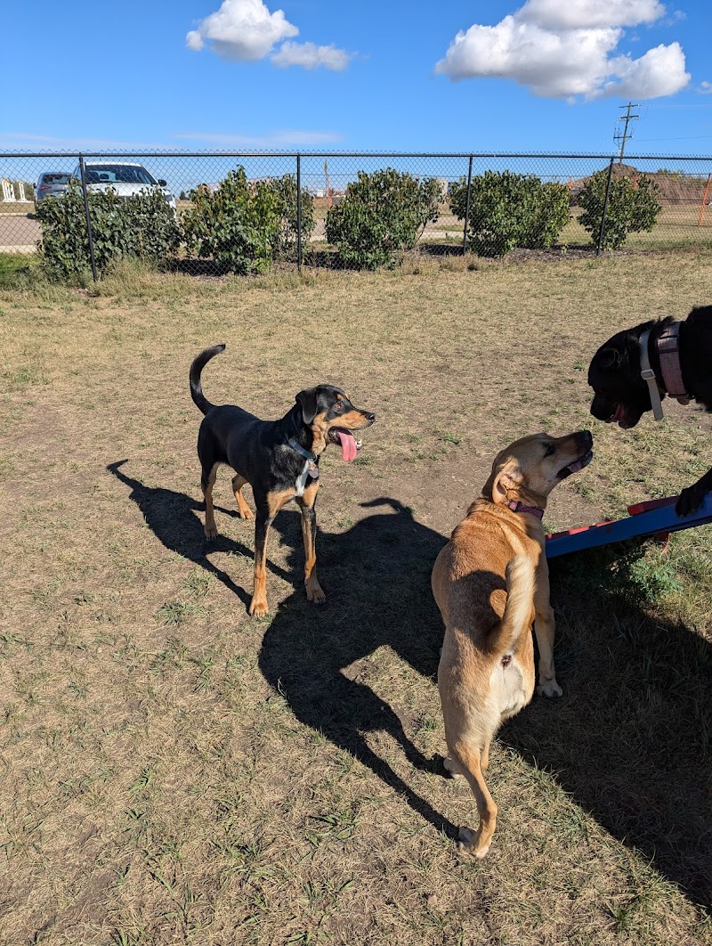 Blackfalds Dog Park dog park