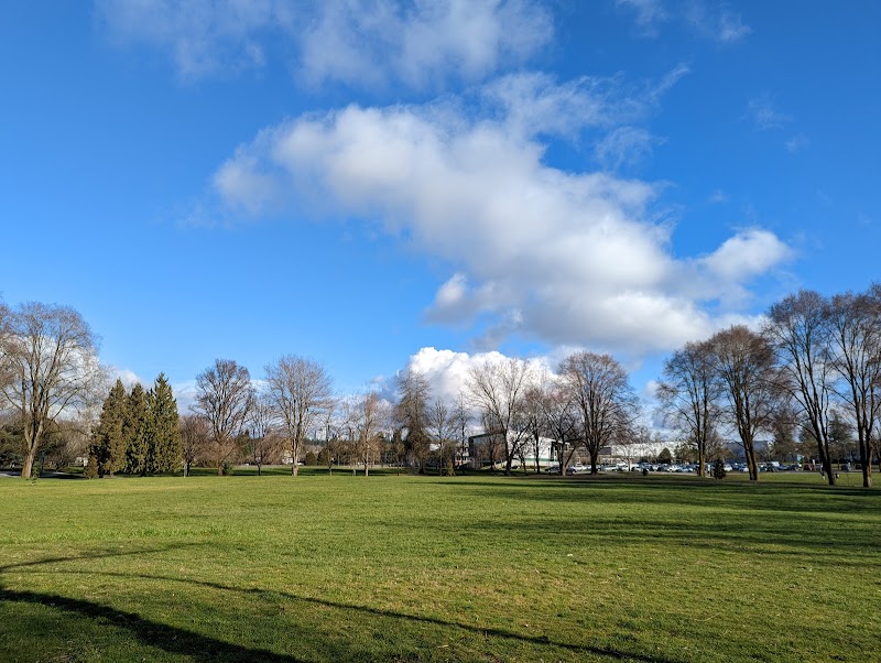 Killarney Park dog park