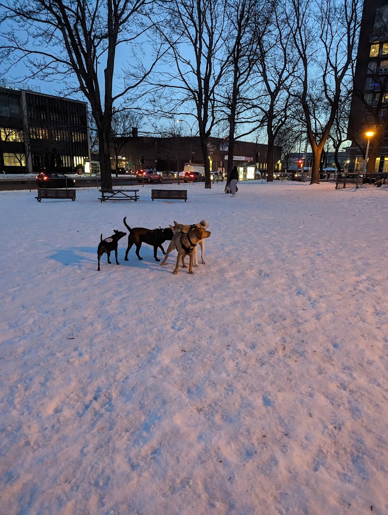 Pelican dog park dog park