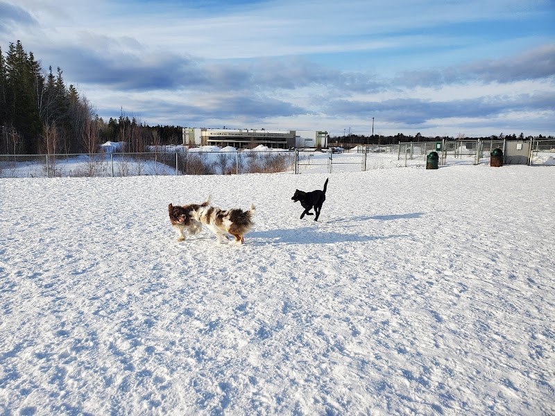 Knowledge Park Dog Park dog park