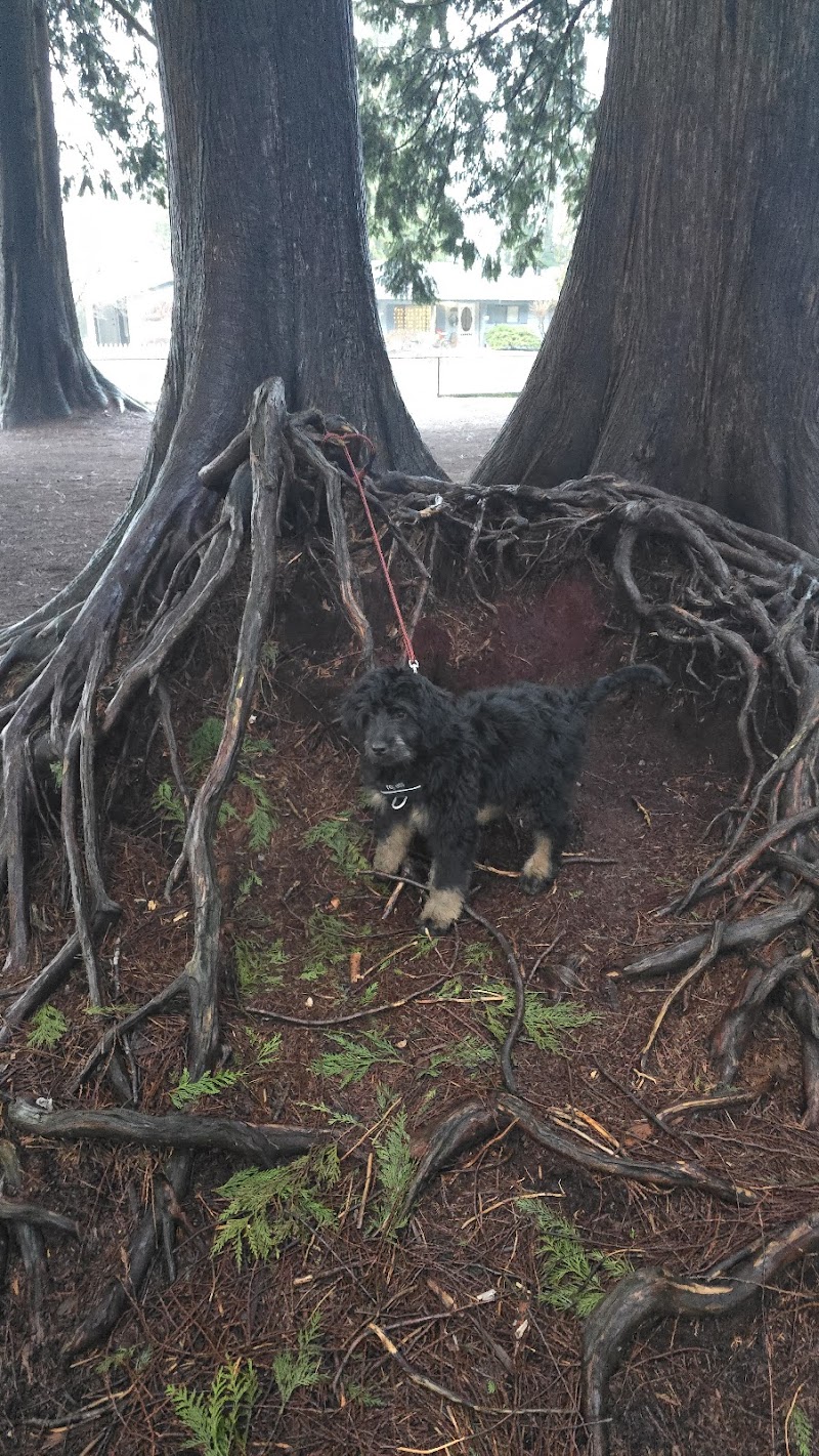 North Bonson Park dog park