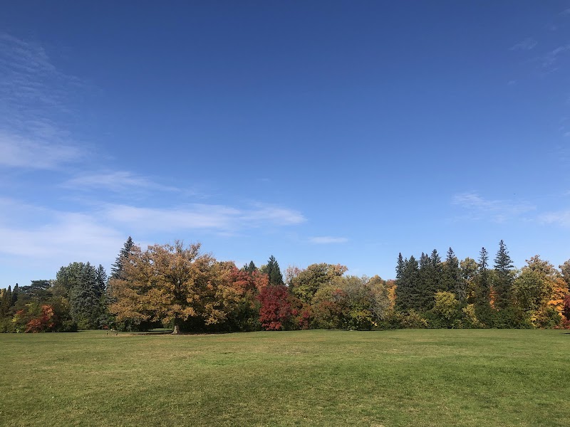 Rockcliffe Park Dog Park dog park