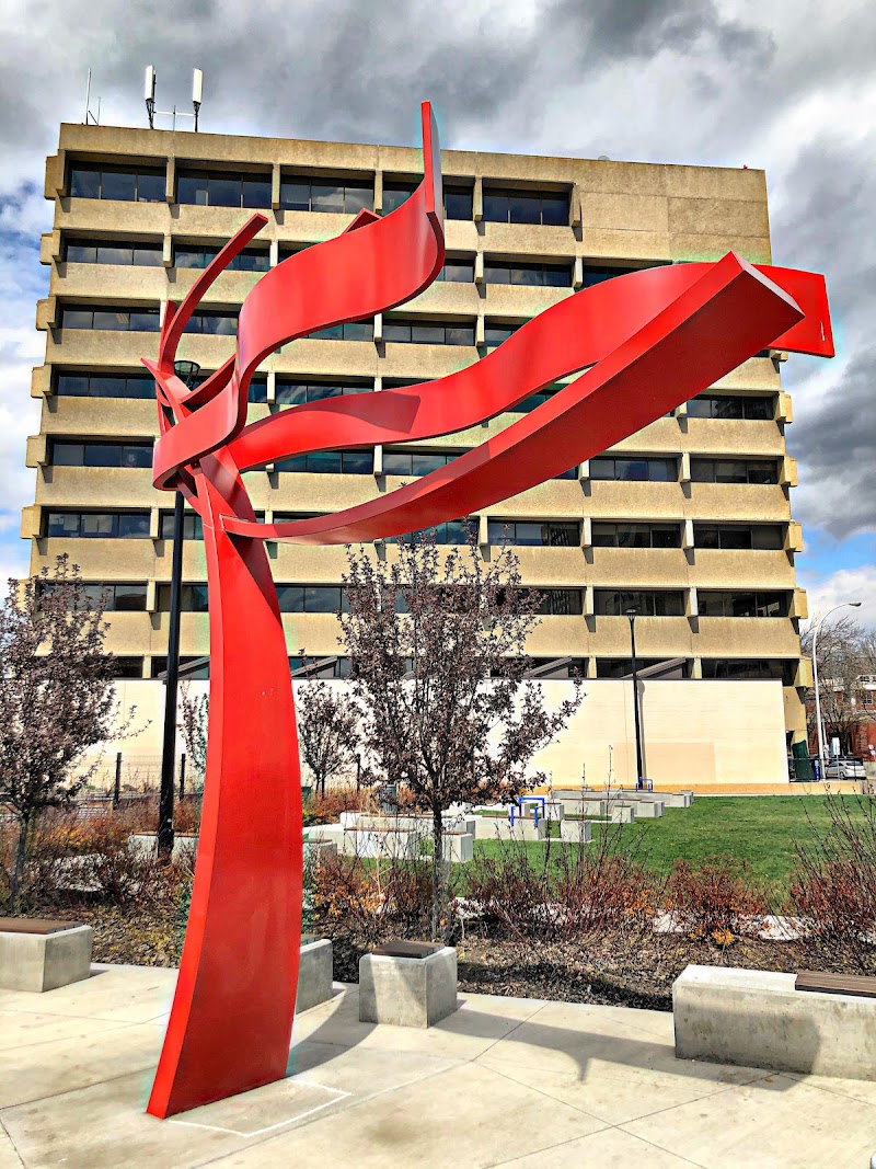 Alex Decoteau Park dog park