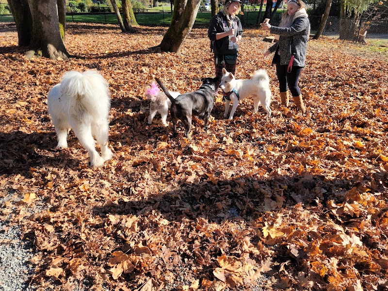 South Cowichan Off-Leash Dog Park dog park