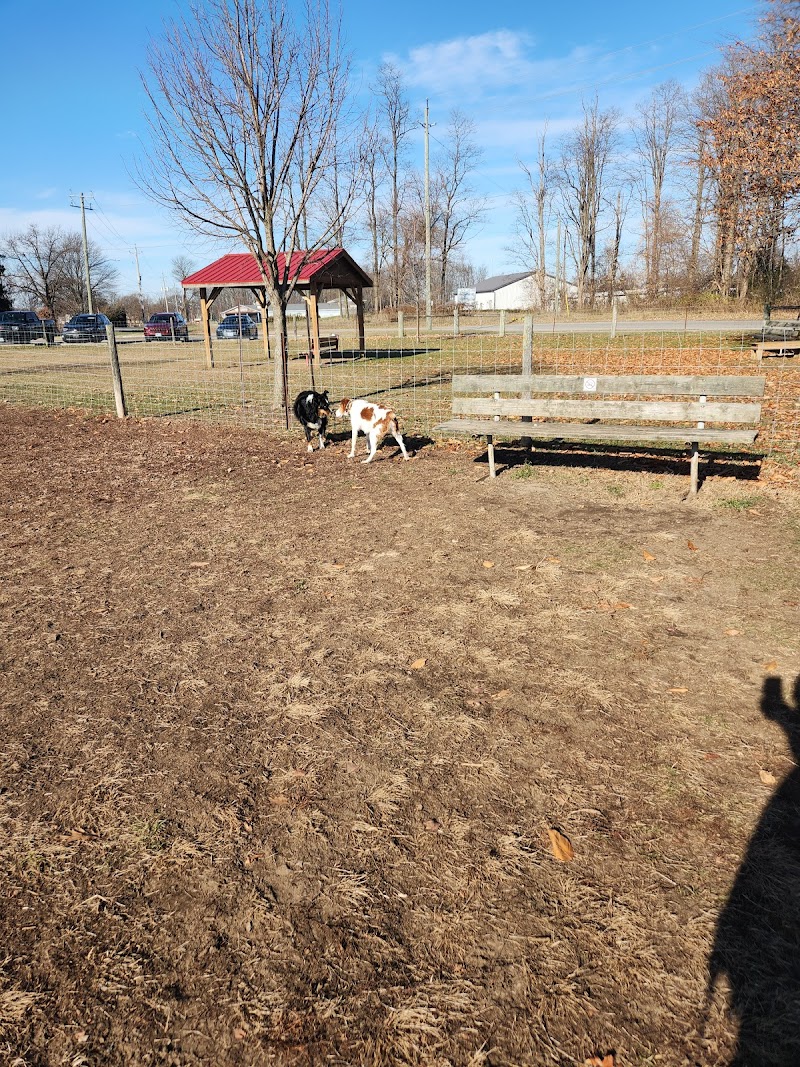 Strathroy-Caradoc Off Leash Dog Park dog park