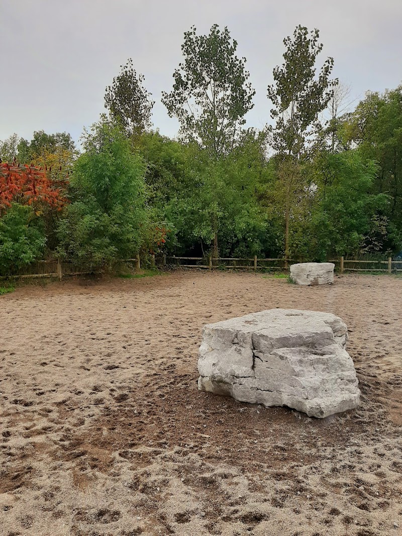 Marie Curtis Dog Park dog park