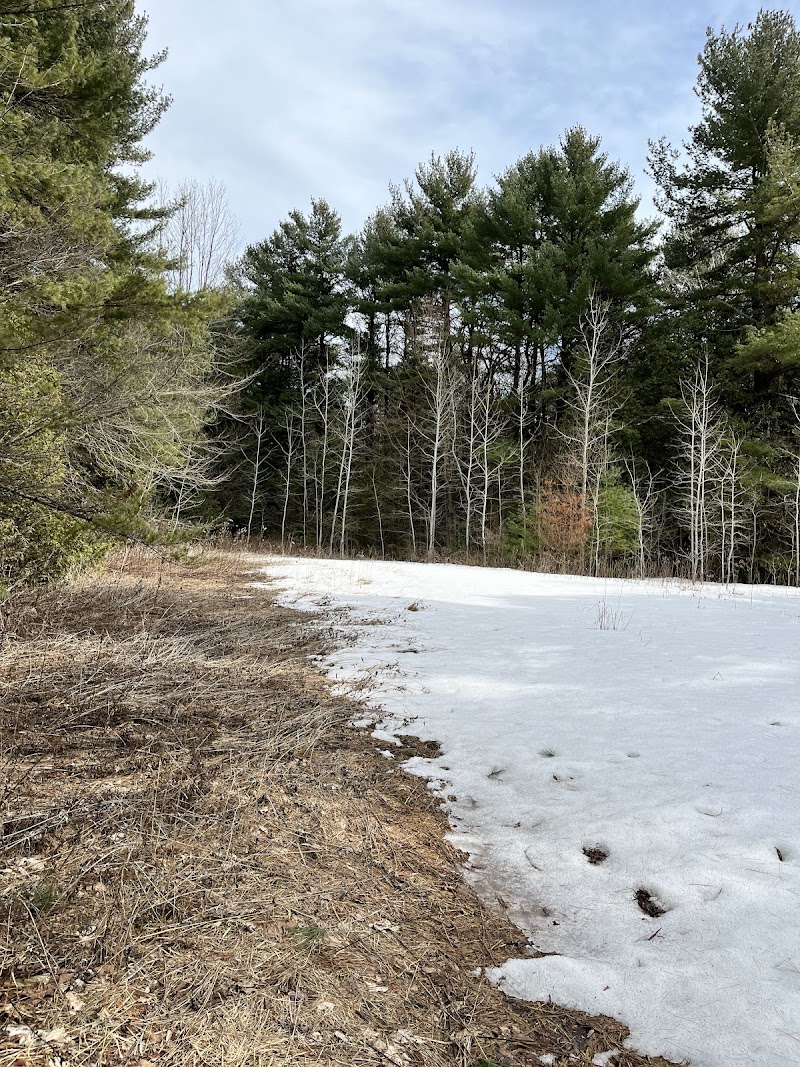 Praveen’s private dog park dog park