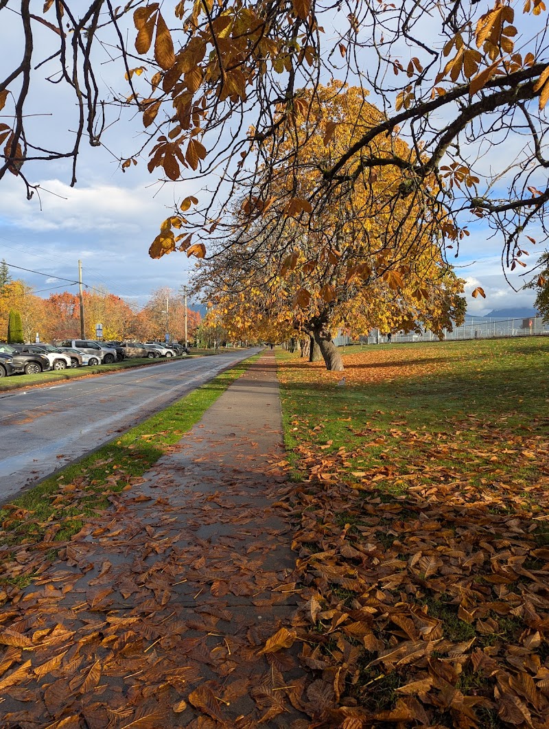 Locarno Off-Leash Dog Area dog park