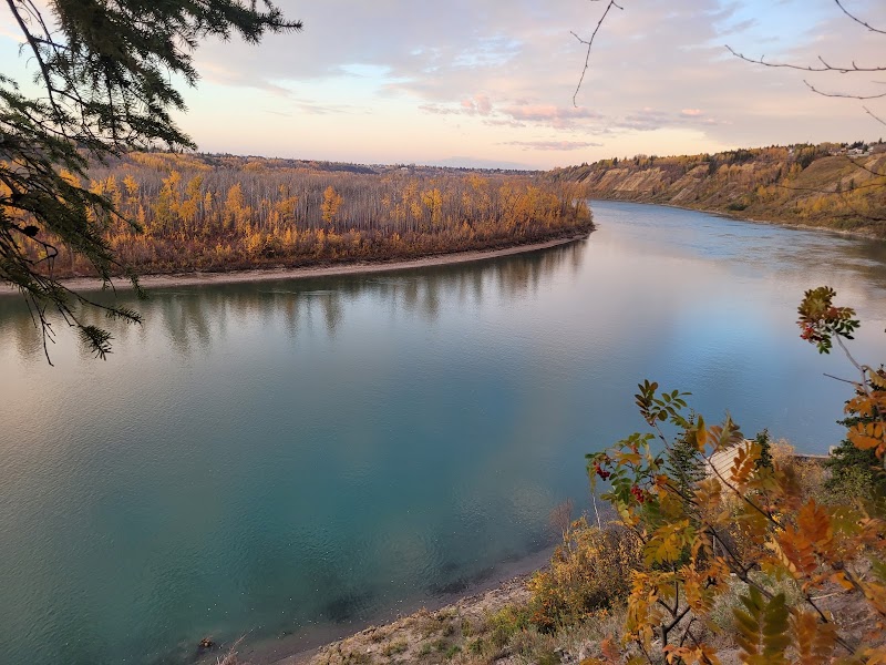 Terwillegar Dog Park dog park
