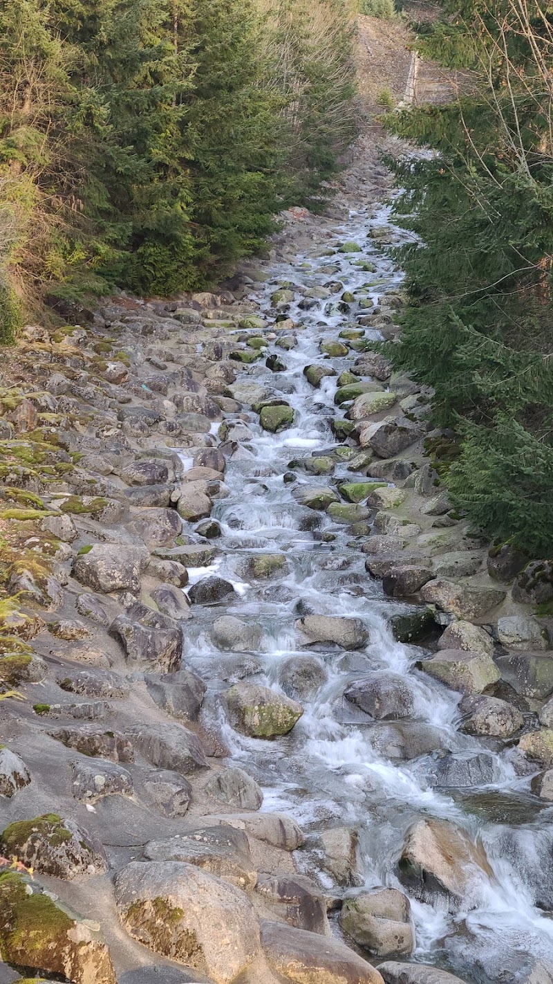 Lions Bay Dog off-leash Park and Mount West Lion Viewpoint dog park