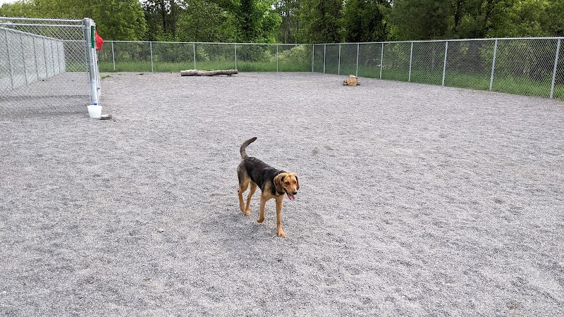 Parc canin Morin-Heights Dog park dog park