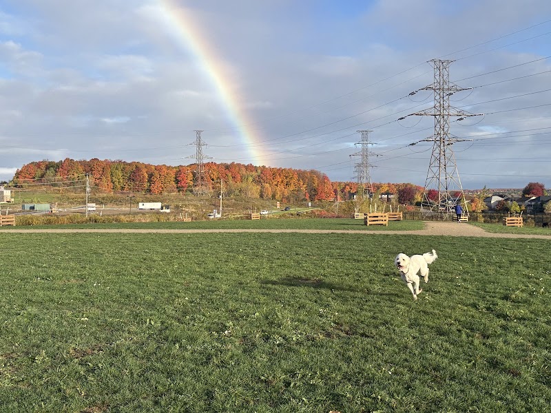 Copper St Dog Park dog park