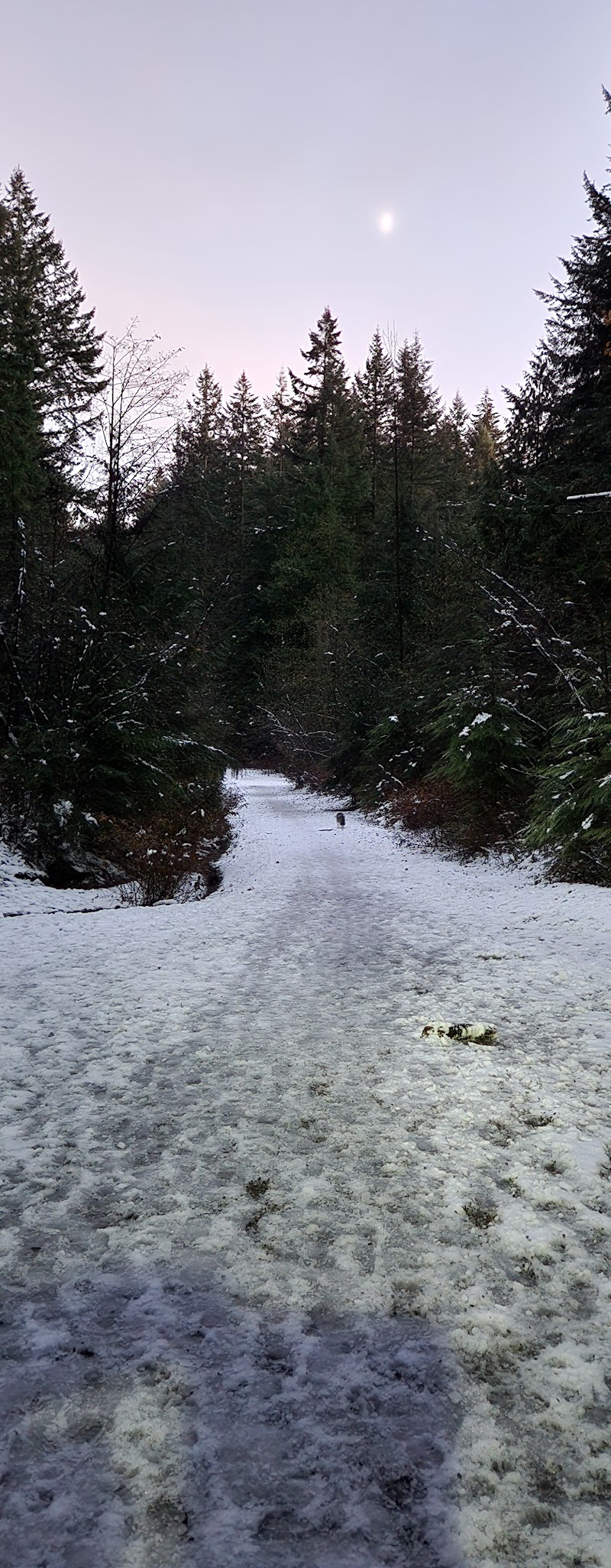 Bert Flinn Off-Leash Dog Park dog park