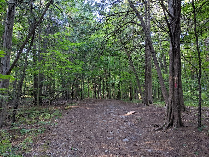 Kinsmen Dog Park dog park