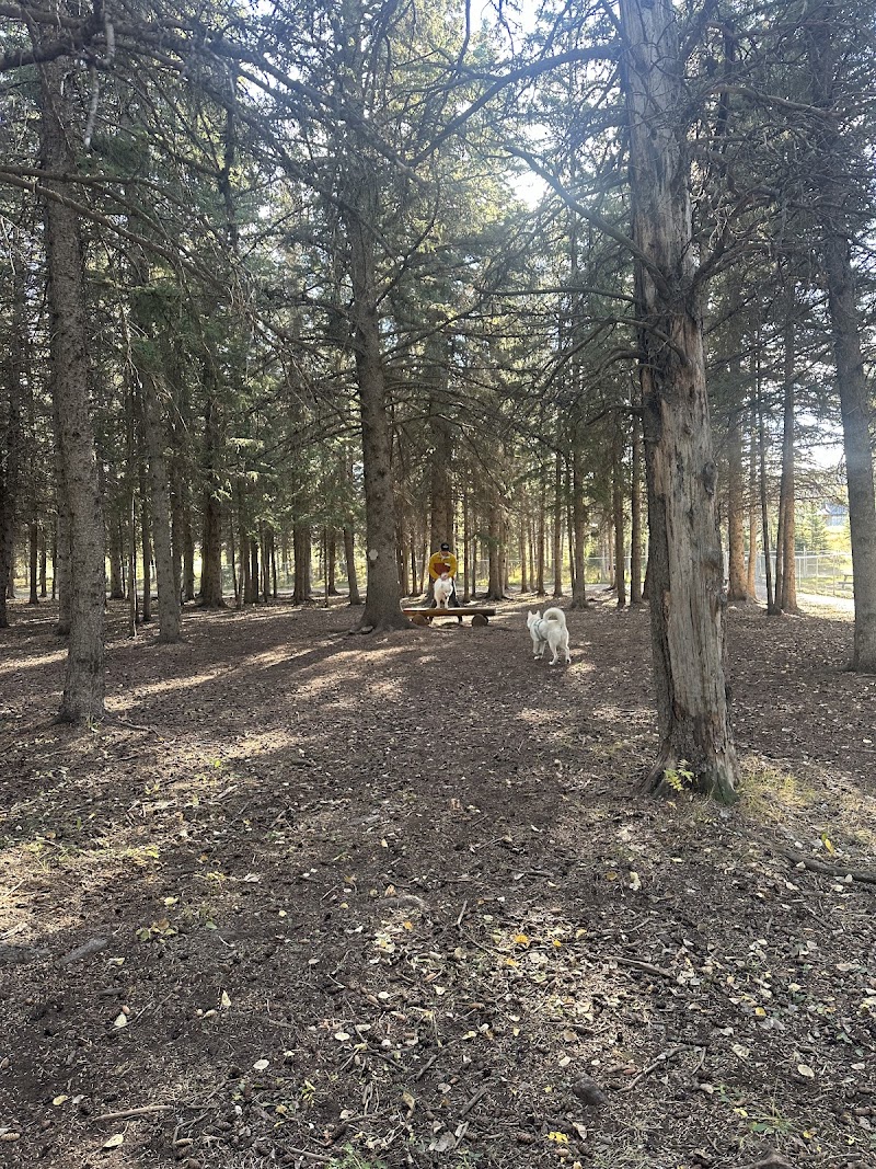 Hinton Dog Park dog park