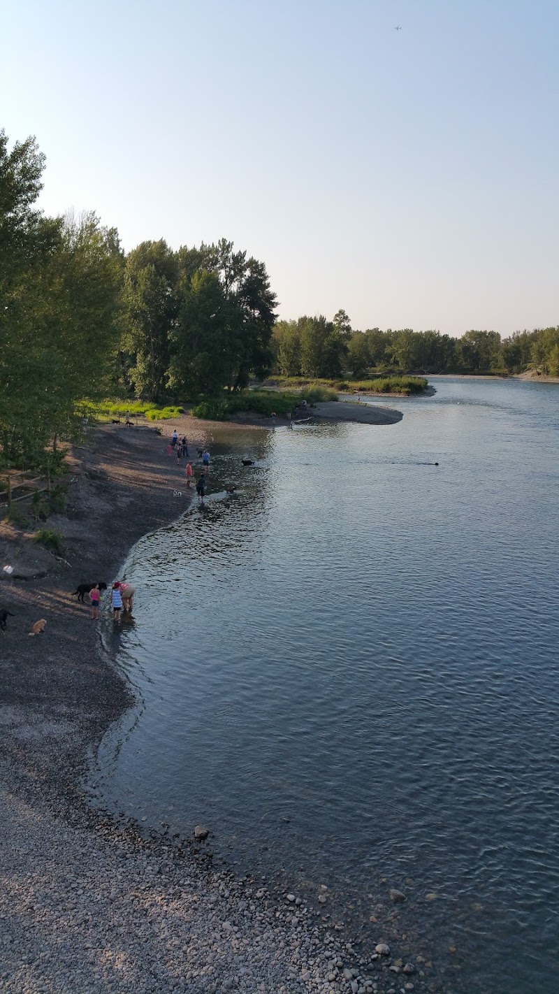 Sue Higgins Park dog park