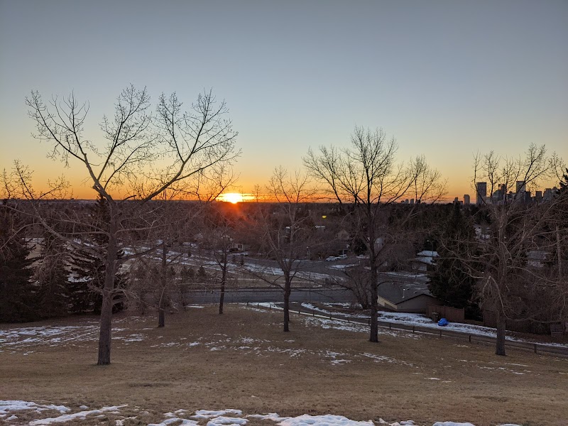Cambrian Heights Off-leash Dog Park dog park
