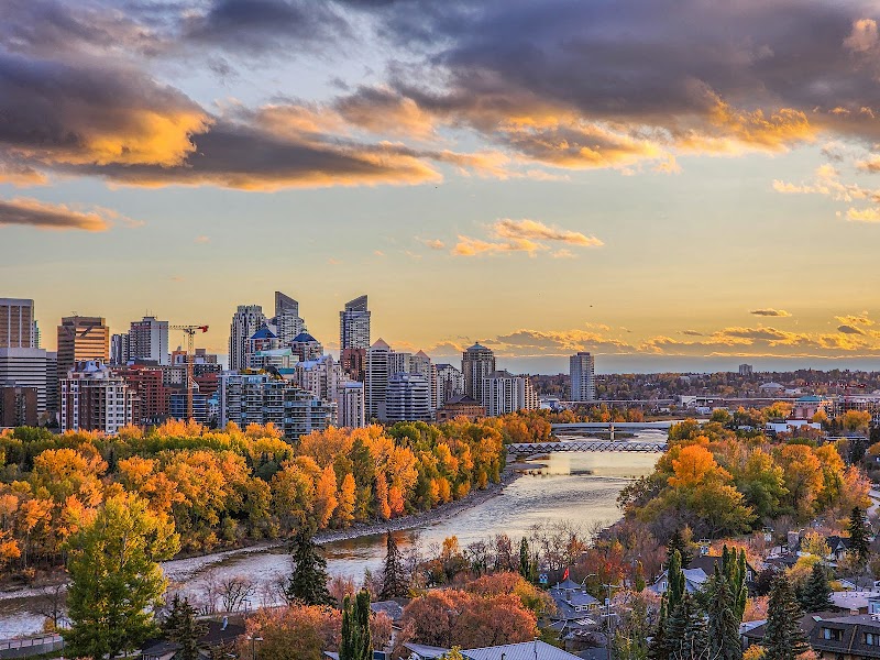 McHugh Bluff Off Leash Dog Park dog park