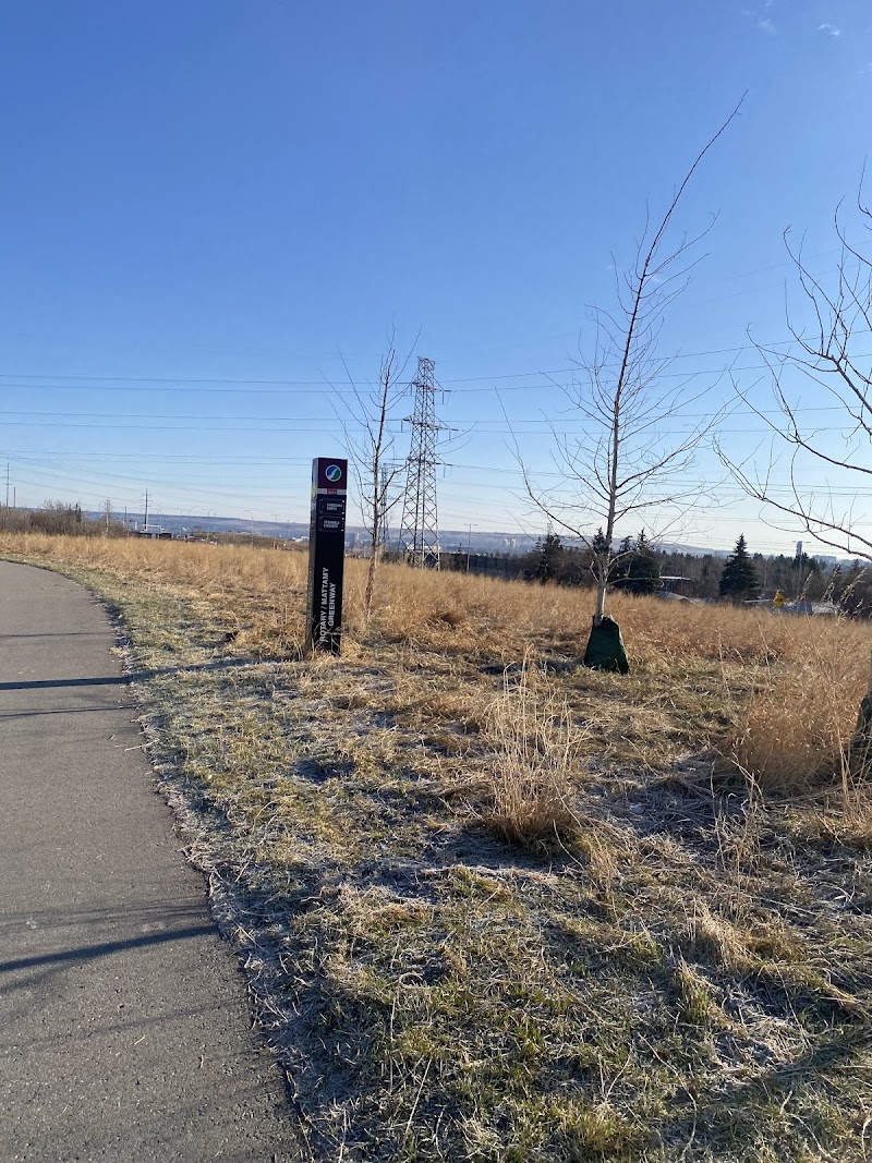 Strathcona Park Off Leash Area dog park