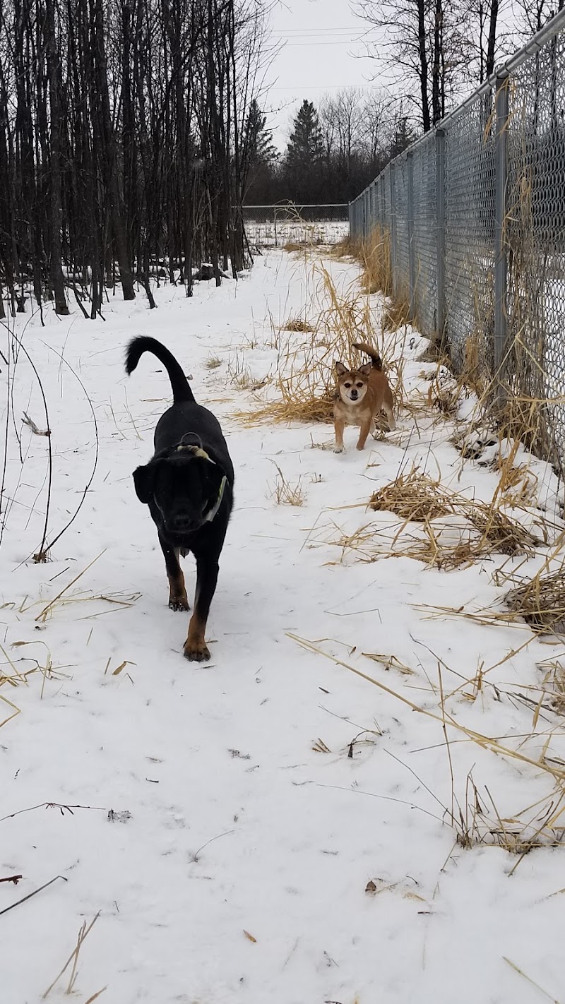 Gimli Off-Leash Dog Park dog park
